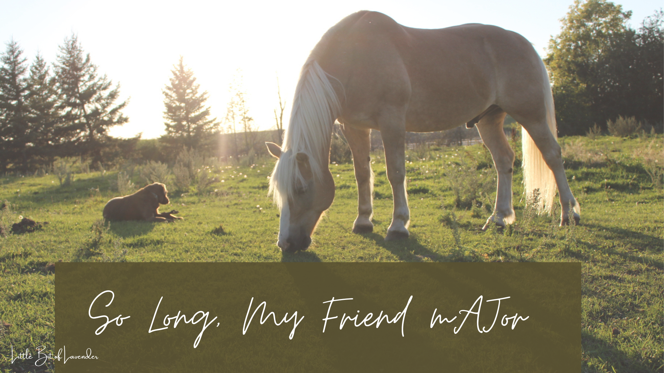 So Long, My Friend mAJor