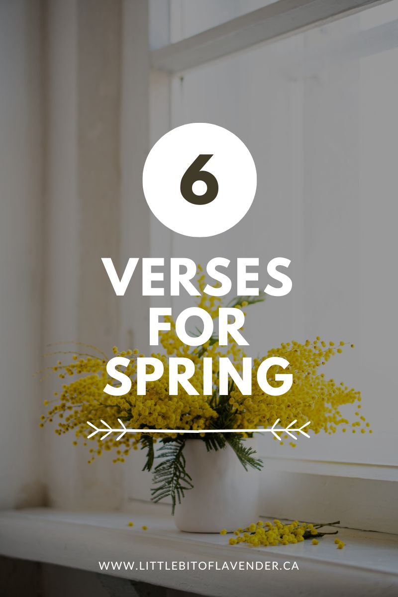 6 Scriptures for Spring – When God Opens Up the World