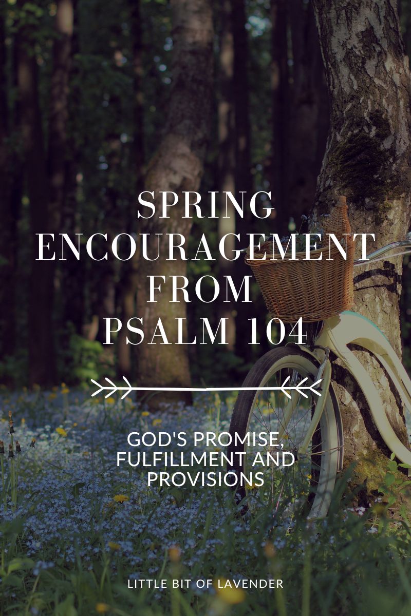 Spring Encouragement from Psalm 104 – God’s Promise, Fulfillment and Provisions