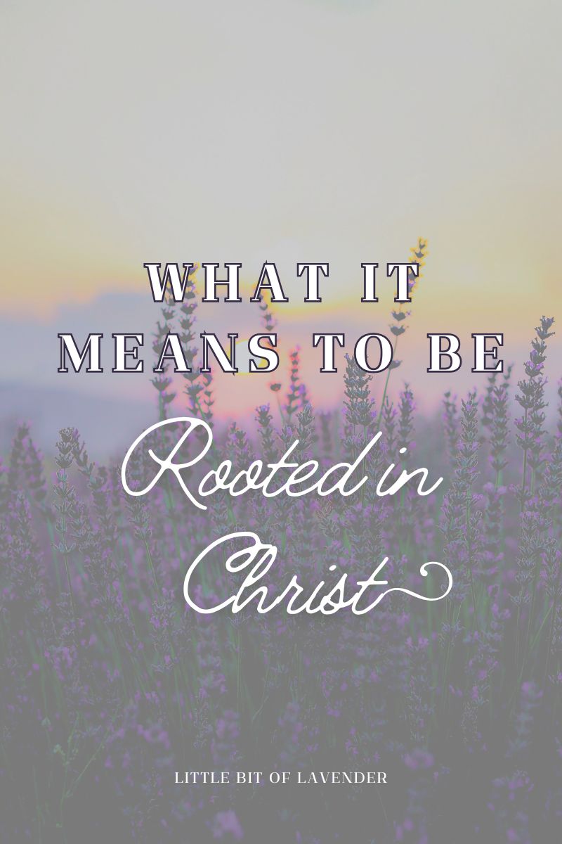 What It Means to Be Rooted in Christ