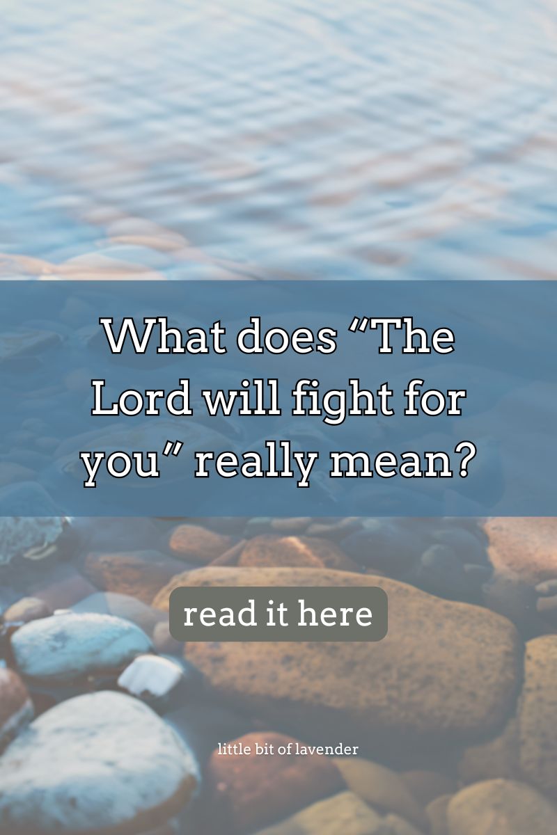The Lord Will Fight for You – Unpacking Exodus 14:14