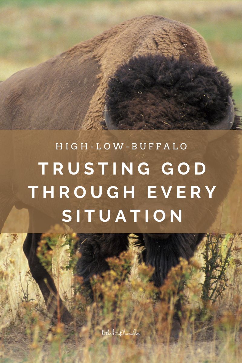 High Low Buffalo – Trusting God Through Every Situation